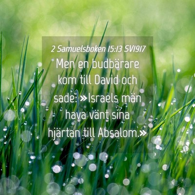 Picture 04 - 2 Samuelsboken 15:13 SV1917 - Men en budbärare kom till David och sade: - Bible Verse Picture