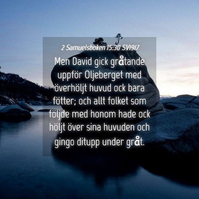 Picture 04 - 2 Samuelsboken 15:30 SV1917 - Men David gick gråtande uppför Oljeberget med - Bible Verse Picture