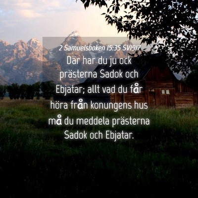 Picture 04 - 2 Samuelsboken 15:35 SV1917 - Där har du ju ock prästerna Sadok och Ebjatar; - Bible Verse Picture