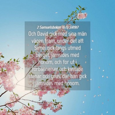 Picture 04 - 2 Samuelsboken 16:13 SV1917 - Och David gick med sina män vägen fram, under - Bible Verse Picture