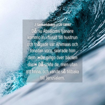 Picture 04 - 2 Samuelsboken 17:20 SV1917 - Då nu Absaloms tjänare kommo in i huset till - Bible Verse Picture