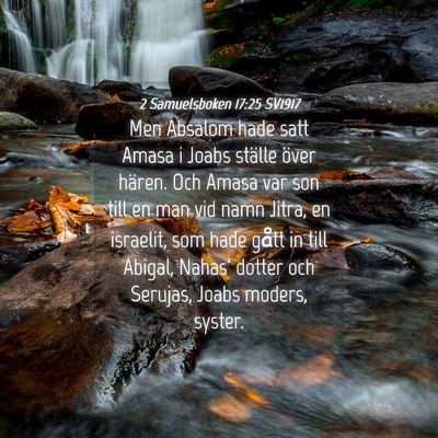 Picture 04 - 2 Samuelsboken 17:25 SV1917 - Men Absalom hade satt Amasa i Joabs ställe över - Bible Verse Picture
