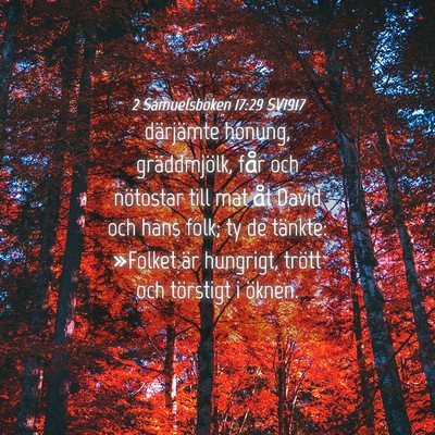 Picture 04 - 2 Samuelsboken 17:29 SV1917 - därjämte honung, gräddmjölk, får och - Bible Verse Picture
