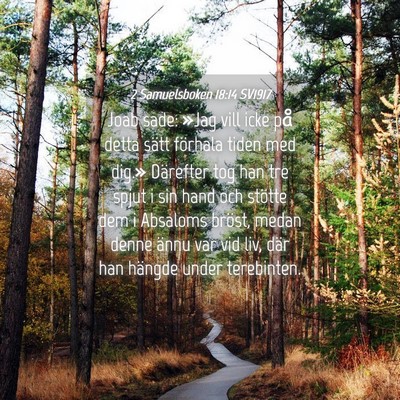 Picture 04 - 2 Samuelsboken 18:14 SV1917 - Joab sade: »Jag vill icke på detta sätt - Bible Verse Picture