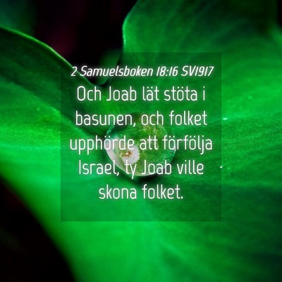 Picture 04 - 2 Samuelsboken 18:16 SV1917 - Och Joab lät stöta i basunen, och folket - Bible Verse Picture