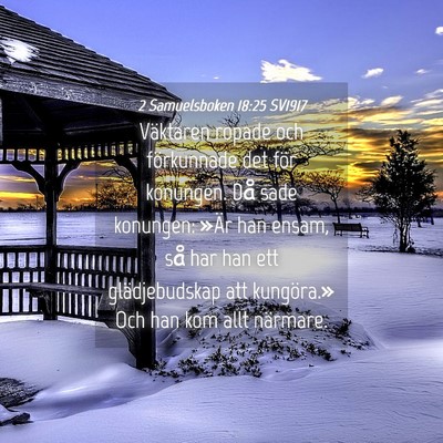 Picture 04 - 2 Samuelsboken 18:25 SV1917 - Väktaren ropade och förkunnade det för - Bible Verse Picture