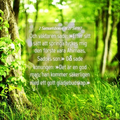 Picture 04 - 2 Samuelsboken 18:27 SV1917 - Och väktaren sade: »Efter sitt sätt att - Bible Verse Picture