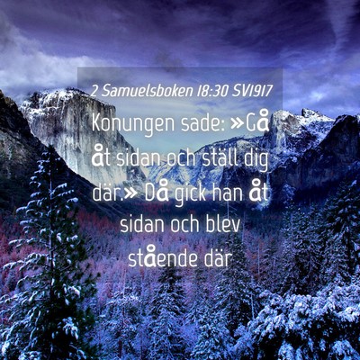 Picture 04 - 2 Samuelsboken 18:30 SV1917 - Konungen sade: »Gå åt sidan och ställ dig - Bible Verse Picture
