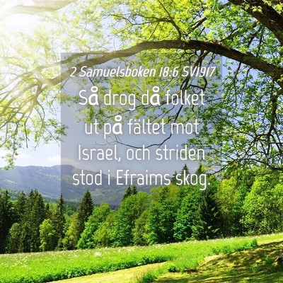 Picture 04 - 2 Samuelsboken 18:6 SV1917 - Så drog då folket ut på fältet mot Israel, - Bible Verse Picture
