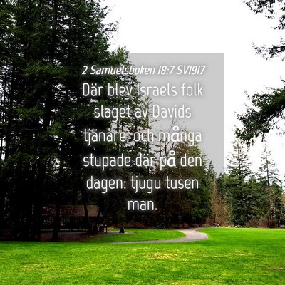 Picture 04 - 2 Samuelsboken 18:7 SV1917 - Där blev Israels folk slaget av Davids tjänare, - Bible Verse Picture