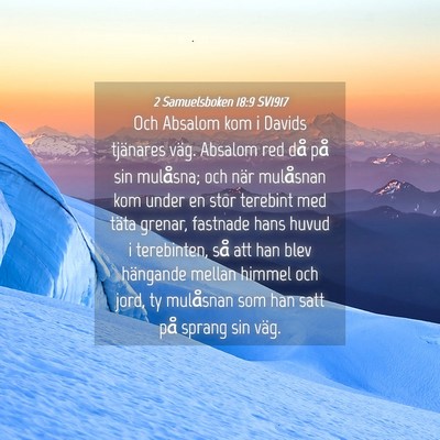 Picture 04 - 2 Samuelsboken 18:9 SV1917 - Och Absalom kom i Davids tjänares väg. Absalom - Bible Verse Picture