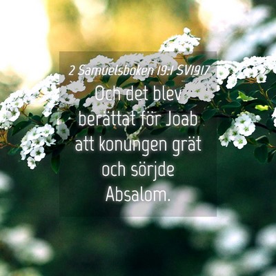 Picture 04 - 2 Samuelsboken 19:1 SV1917 - Och det blev berättat för Joab att konungen - Bible Verse Picture