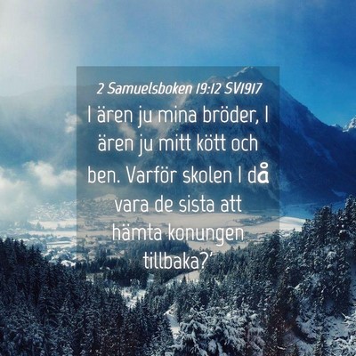 Picture 04 - 2 Samuelsboken 19:12 SV1917 - I ären ju mina bröder, I ären ju mitt kött - Bible Verse Picture