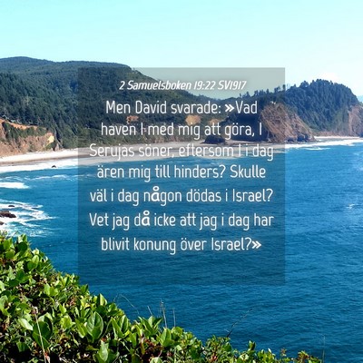 Picture 04 - 2 Samuelsboken 19:22 SV1917 - Men David svarade: »Vad haven I med mig att - Bible Verse Picture