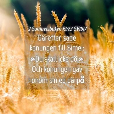 Picture 04 - 2 Samuelsboken 19:23 SV1917 - Därefter sade konungen till Simei: »Du skall - Bible Verse Picture