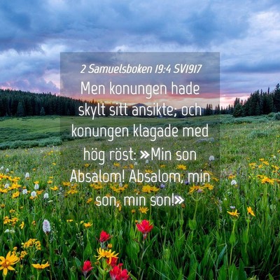 Picture 04 - 2 Samuelsboken 19:4 SV1917 - Men konungen hade skylt sitt ansikte; och - Bible Verse Picture
