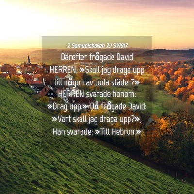Picture 04 - 2 Samuelsboken 2:1 SV1917 - Därefter frågade David HERREN: »Skall jag - Bible Verse Picture