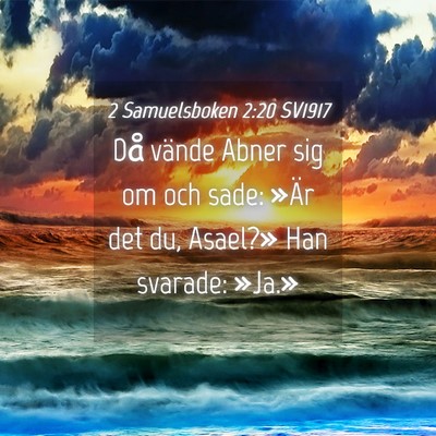 Picture 04 - 2 Samuelsboken 2:20 SV1917 - Då vände Abner sig om och sade: »Är det du, - Bible Verse Picture