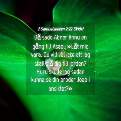Picture 04 - 2 Samuelsboken 2:22 SV1917 - Då sade Abner ännu en gång till Asael: »Låt - Bible Verse Picture