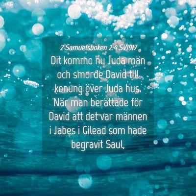 Picture 04 - 2 Samuelsboken 2:4 SV1917 - Dit kommo nu Juda män och smorde David till - Bible Verse Picture