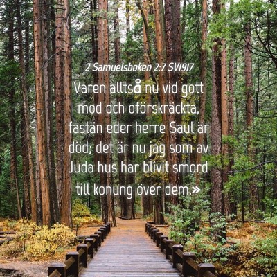 Picture 04 - 2 Samuelsboken 2:7 SV1917 - Varen alltså nu vid gott mod och oförskräckta, - Bible Verse Picture