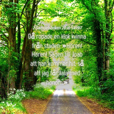 Picture 04 - 2 Samuelsboken 20:16 SV1917 - Då ropade en klok kvinna från staden: »Hören! - Bible Verse Picture