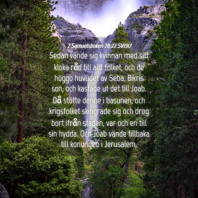 Picture 04 - 2 Samuelsboken 20:22 SV1917 - Sedan vände sig kvinnan med sitt kloka råd till - Bible Verse Picture