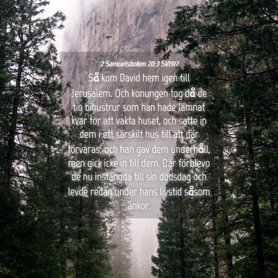 Picture 04 - 2 Samuelsboken 20:3 SV1917 - Så kom David hem igen till Jerusalem. Och - Bible Verse Picture