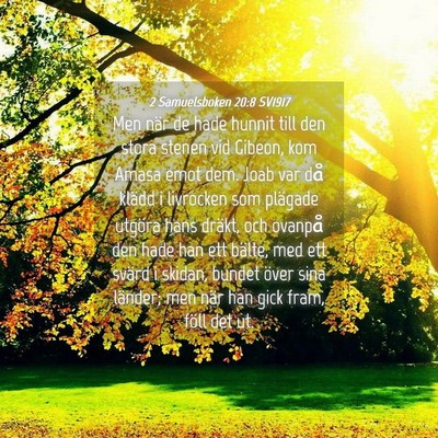 Picture 04 - 2 Samuelsboken 20:8 SV1917 - Men när de hade hunnit till den stora stenen vid - Bible Verse Picture