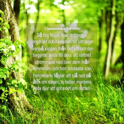 Picture 04 - 2 Samuelsboken 21:10 SV1917 - Då tog Rispa, Ajas dotter, sin sorgdräkt och - Bible Verse Picture