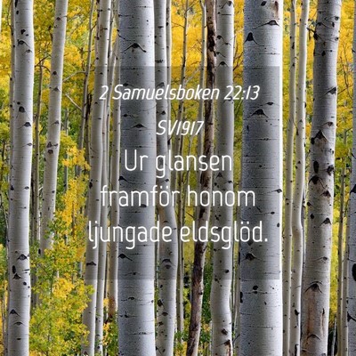 Picture 04 - 2 Samuelsboken 22:13 SV1917 - Ur glansen framför honom ljungade - Bible Verse Picture