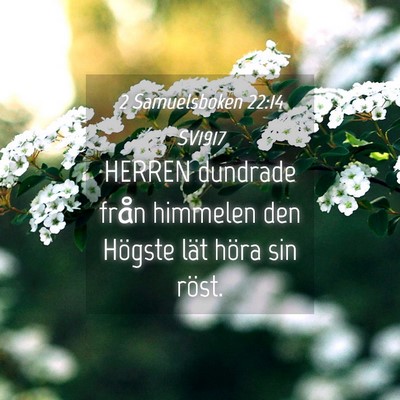 Picture 04 - 2 Samuelsboken 22:14 SV1917 - HERREN dundrade från himmelen den Högste lät - Bible Verse Picture
