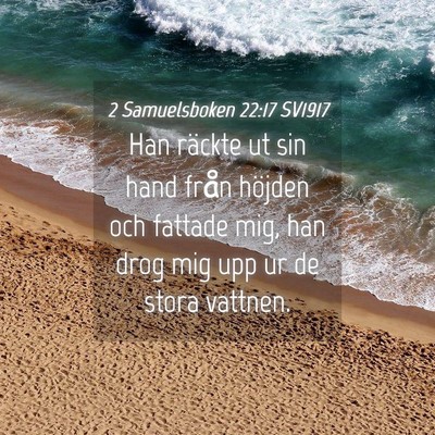 Picture 04 - 2 Samuelsboken 22:17 SV1917 - Han räckte ut sin hand från höjden och fattade - Bible Verse Picture