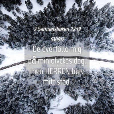 Picture 04 - 2 Samuelsboken 22:19 SV1917 - De överföllo mig på min olyckas dag, men - Bible Verse Picture