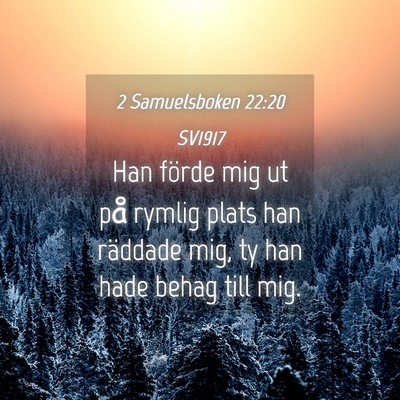 Picture 04 - 2 Samuelsboken 22:20 SV1917 - Han förde mig ut på rymlig plats han räddade - Bible Verse Picture