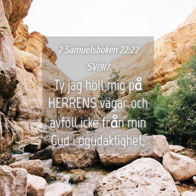 Picture 04 - 2 Samuelsboken 22:22 SV1917 - Ty jag höll mig på HERRENS vägar och avföll - Bible Verse Picture