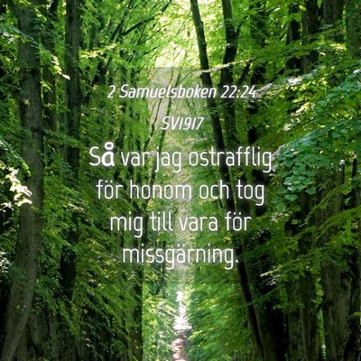 Picture 04 - 2 Samuelsboken 22:24 SV1917 - Så var jag ostrafflig för honom och tog mig - Bible Verse Picture