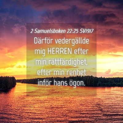 Picture 04 - 2 Samuelsboken 22:25 SV1917 - Därför vedergällde mig HERREN efter min - Bible Verse Picture
