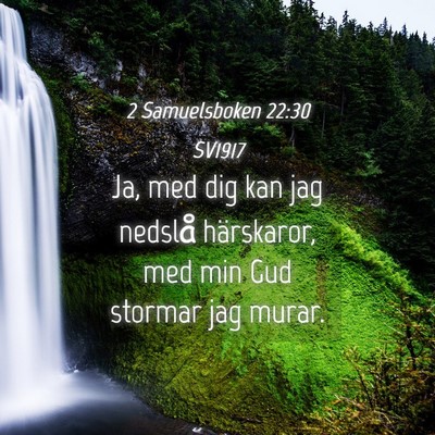 Picture 04 - 2 Samuelsboken 22:30 SV1917 - Ja, med dig kan jag nedslå härskaror, med min - Bible Verse Picture
