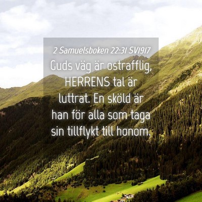 Picture 04 - 2 Samuelsboken 22:31 SV1917 - Guds väg är ostrafflig, HERRENS tal är - Bible Verse Picture
