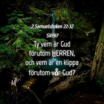 Picture 04 - 2 Samuelsboken 22:32 SV1917 - Ty vem är Gud förutom HERREN, och vem är en - Bible Verse Picture