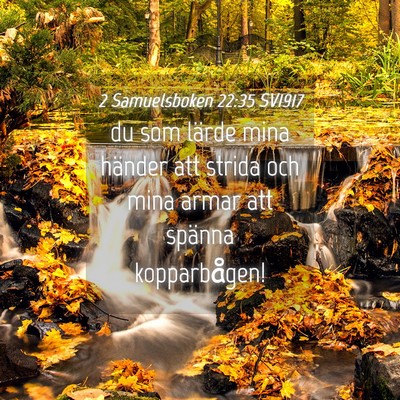 Picture 04 - 2 Samuelsboken 22:35 SV1917 - du som lärde mina händer att strida och mina - Bible Verse Picture
