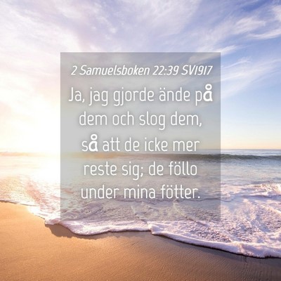 Picture 04 - 2 Samuelsboken 22:39 SV1917 - Ja, jag gjorde ände på dem och slog dem, så - Bible Verse Picture