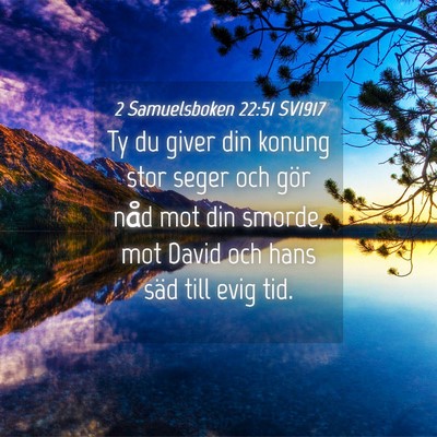 Picture 04 - 2 Samuelsboken 22:51 SV1917 - Ty du giver din konung stor seger och gör nåd - Bible Verse Picture