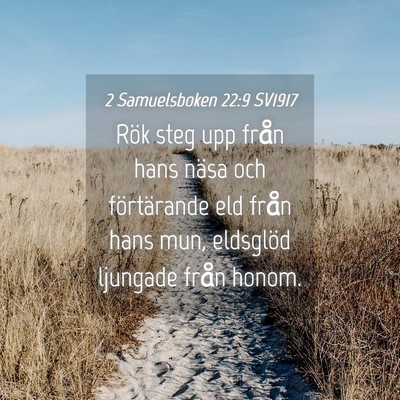 Picture 04 - 2 Samuelsboken 22:9 SV1917 - Rök steg upp från hans näsa och förtärande - Bible Verse Picture