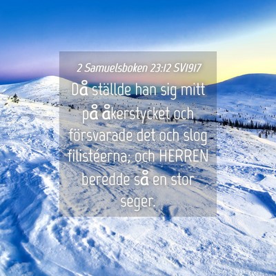 Picture 04 - 2 Samuelsboken 23:12 SV1917 - Då ställde han sig mitt på åkerstycket och - Bible Verse Picture