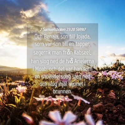 Picture 04 - 2 Samuelsboken 23:20 SV1917 - Och Benaja, son till Jojada, som var son till en - Bible Verse Picture