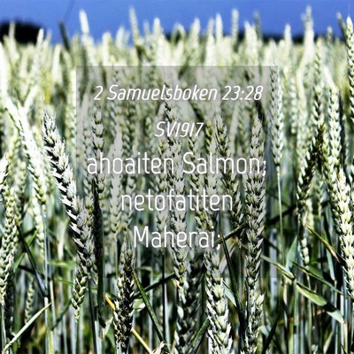 Picture 04 - 2 Samuelsboken 23:28 SV1917 - ahoaiten Salmon; netofatiten - Bible Verse Picture