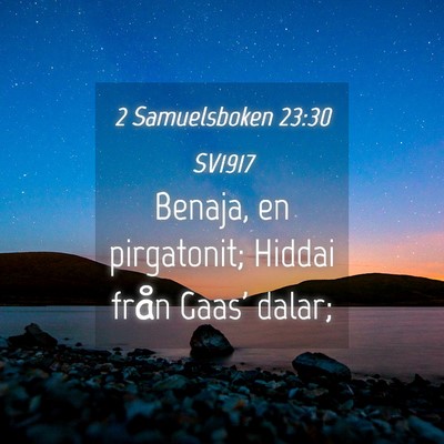 Picture 04 - 2 Samuelsboken 23:30 SV1917 - Benaja, en pirgatonit; Hiddai från Gaas' - Bible Verse Picture