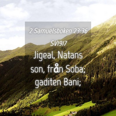 Picture 04 - 2 Samuelsboken 23:36 SV1917 - Jigeal, Natans son, från Soba; gaditen - Bible Verse Picture